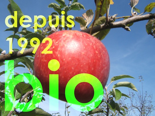 Pommes - Les vergers Bio de Vertougit
